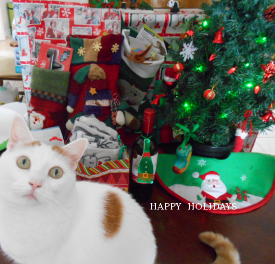 Xmas 2018 