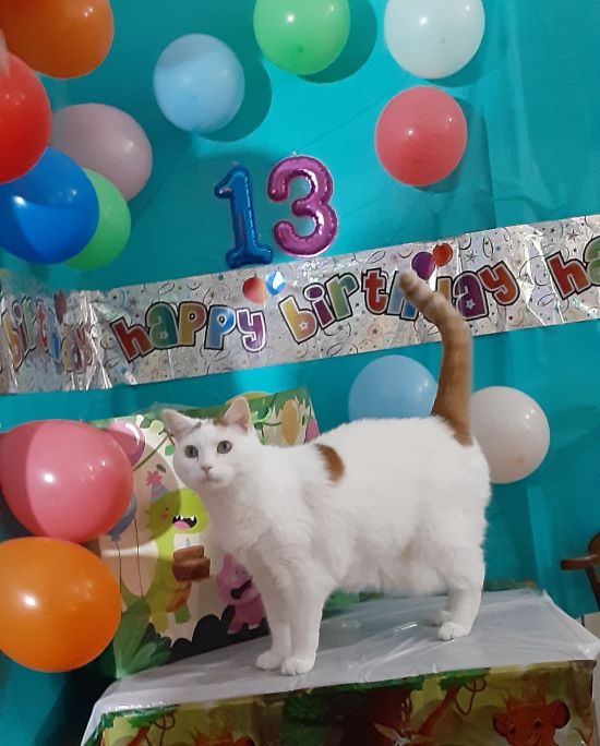 I'm 13 Today