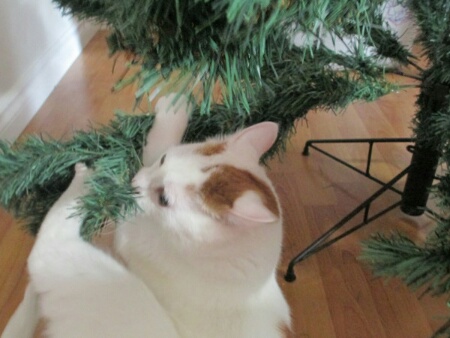 Xmas 