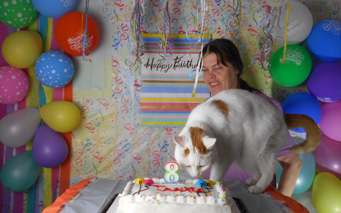 Tankie and Cake
