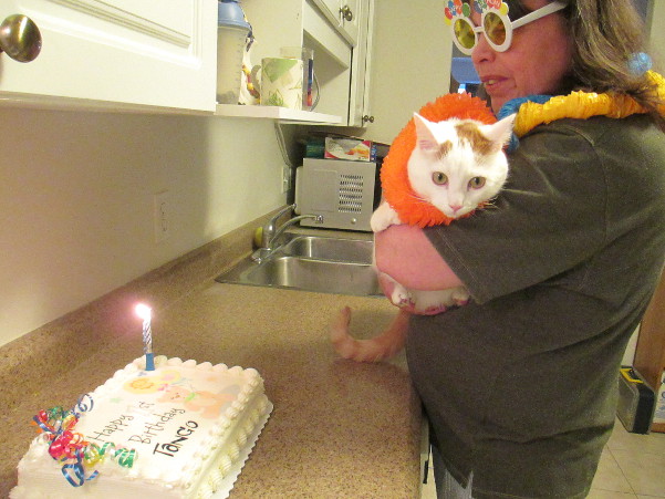 Tankies Birthday